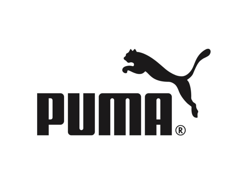 Puma Indoor Shoes for&nbsp;$18.99